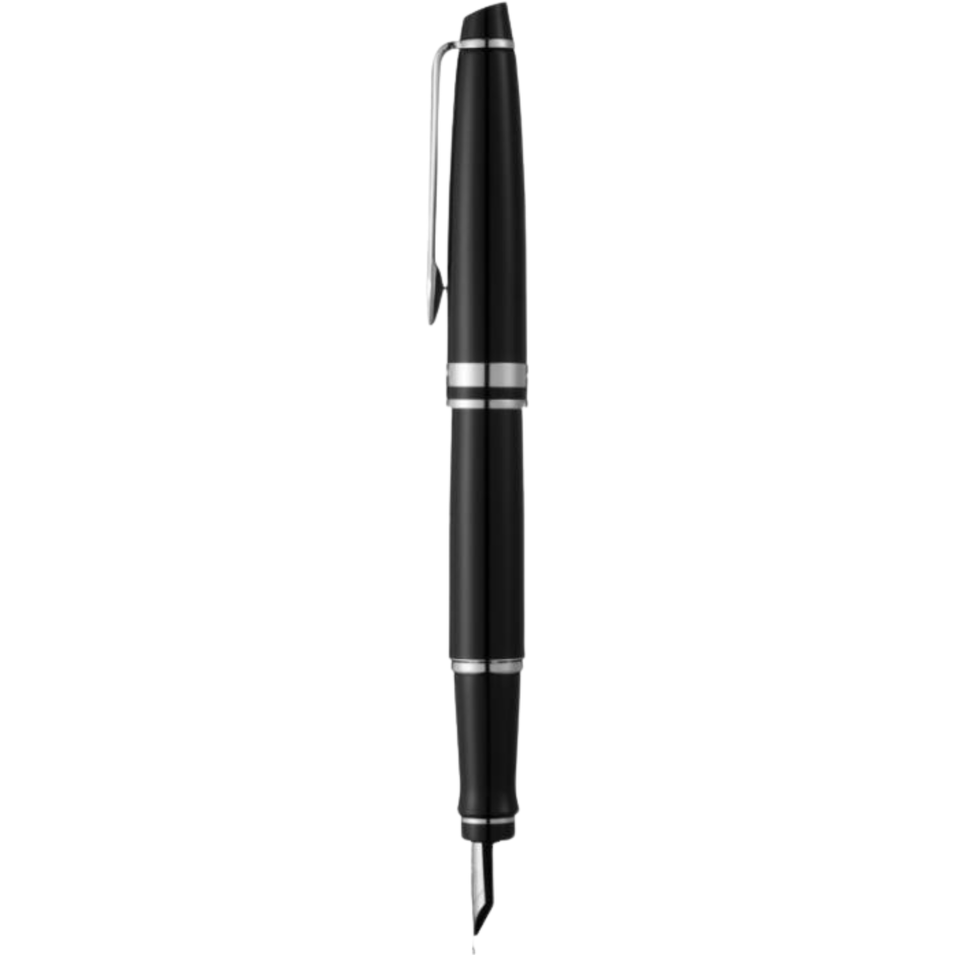 Waterman Expert Fountain Pen